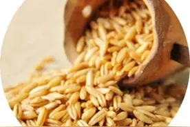 燕麦粒、燕麦米、燕麦片，有啥区别？营养哪个好？图片