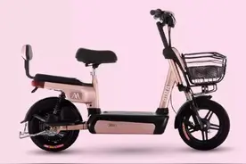 爱玛电动车初原-L，回归最真实的你图片