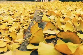 讲述：34年之华电记忆 34年之华电情怀图片