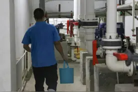 6只安哥拉海狗12天长春安家记图片