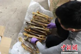 广西防城港警方破获非法交易狮子骨骼案 抓获3名嫌疑人图片