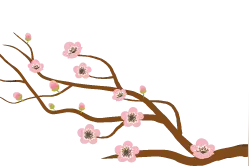 财经有画说｜青岛6位数车牌11月启用，有哪些变化提前知！图片