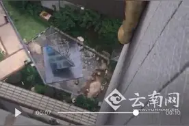 昆明一小区惊现3米多长黄金蟒绕房梁 警方称系人工饲养图片