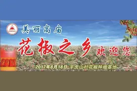 市区这些路在修，出行这样走图片