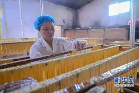 福建清流：物流“走出去” 电商“飞入”百姓家图片