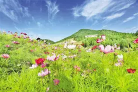 打探重庆消暑纳凉地 去云阳上坝锣鼓宕露营歇凉图片