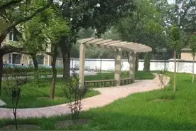 改变｜五处胡同煤厂 变身养老四合院图片