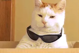 陕C车主注意：违章信息有手机短信提醒啦！图片