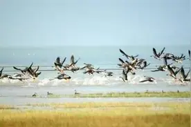 2017/8/21(340)「检察微文」天门沉湖贪污窝案办理记（二）图片
