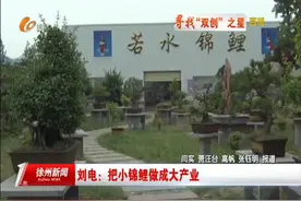 刘电：把小锦鲤做成大产业图片