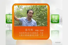 壮壮帮忙：核桃黑果该咋办图片