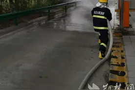 蜜蜂“霸占”高速公路收费站 收费员消防联合“剿蜂”图片