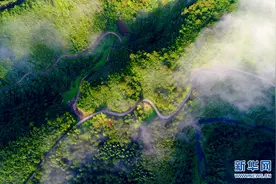 皖南有条“川藏线” 高山云海现奇观图片