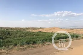 重庆科学家试验“沙变土” 万亩沙漠变良田种出大西瓜图片