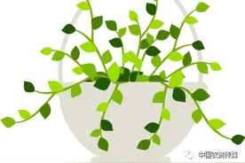 植保｜芋头病虫害防治就这么简单！图片