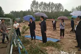 淮阳3天打赢文昌大道东延清表攻坚战图片