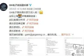 王者荣耀战队急招分析师 钻石段位月薪上万图片