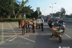 赶着我的马车进城咯~图片