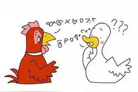 广东话百科：鸡同鸭讲图片
