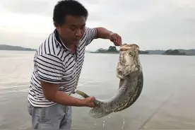 重庆小伙长寿湖钓到近30斤重的桂鱼图片