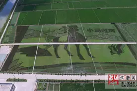寓言名篇《小马过河》上田头图片