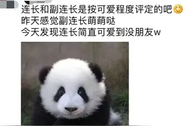 青春小说里的军训故事：有荷尔蒙，有玛丽苏图片