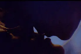 薛之谦高磊鑫：爱情最美的样子是，我的一往情深，都给了你图片