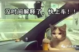 苏城鲜肉月饼大测评！吃遍了6家老字号，小鱼发现了一个秘密！图片