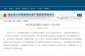 水发集团有限公司成立，山东再添省管一级国企图片
