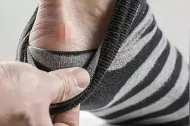 红马进行时㊻图片