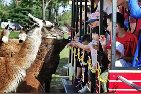 十一假期济南近郊游景点盘点 总有一个地方适合您！图片
