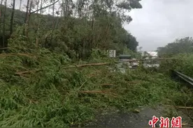 “天鸽”登陆 广东多条高速多个入口封闭图片