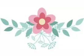 小编手把手教您订新邮！图片