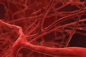 断肢再植，0.2毫米小血管也能移植图片