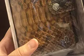 娄艺潇合影泰星Mike变身包租婆 Mike贴心送包包图片