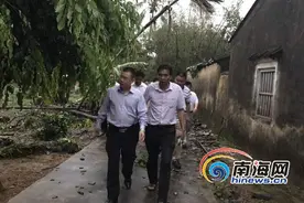 疑似龙卷风袭击万宁田头村 受灾群众已获妥善安置图片