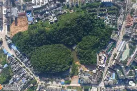 浦北华侨山即将开发成公园，里面竟这样原始，有看头！图片