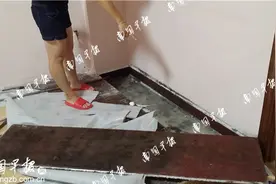 刚装修的房子，竟爬满黑色虫子！原因是……图片