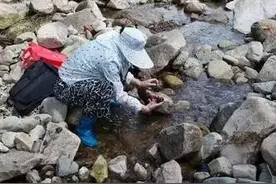 温州一种黑石头成了“网红”，不少人带着磁铁“挖宝”！图片