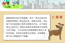 解读｜义乌城区养狗的正确姿势来啦！违规最高要罚2万元图片