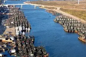 开海了！快看北海的鲜货！潍坊人的海鲜攻略……图片