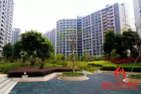 佛山公租房拟可全年工作日受理申请 审核时长缩短图片