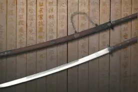 回家的诱惑：唐代后期的庞勋之乱图片