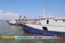 南海开渔！央视记者实地探访 给你一场“海鲜盛宴”图片