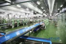 羊肉价格上涨！内蒙古锡林郭勒盟生态羊有望走出困境图片