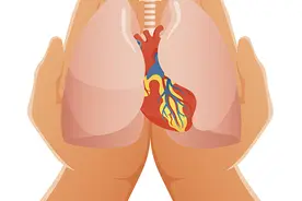 人工心肺如何救命，走近顶尖生命支持技术ECMO图片