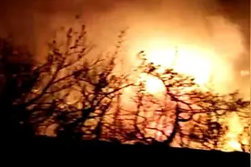 烟台磁山突发山火 燃烧超两小时图片