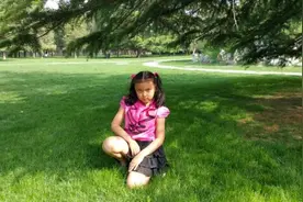 「家庭读书会」欣然前往——《了不起的狐狸爸爸》图片