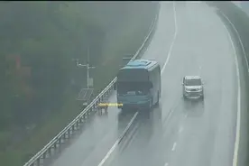 肥猪掉落高速路 大客车冒险停车拾走被扣12分图片