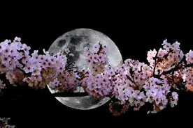 「滨海发布」“十五的月亮十七圆”！滨海新区赏月地图出炉图片